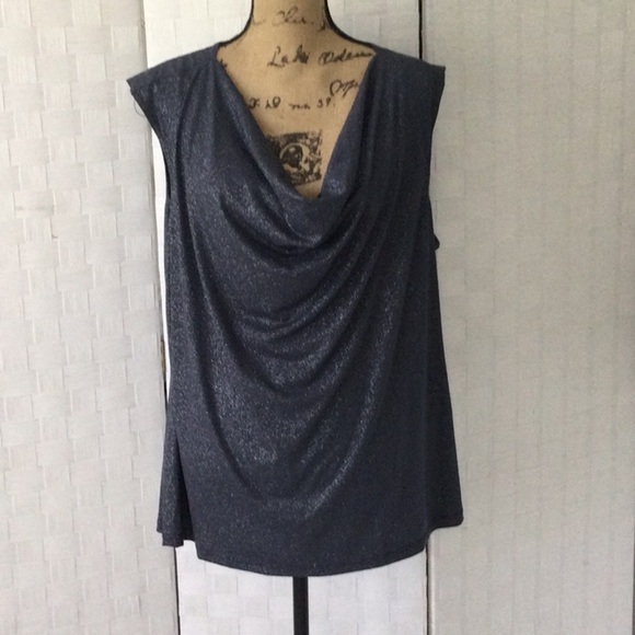 Woman’s Ros & Ali Sleeveless Top size 2XL washable color Sparkly Dark Gray. #400 - Picture 1 of 7